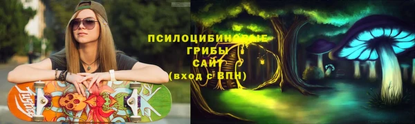 первитин Бородино