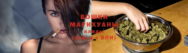 прущий лед Богданович