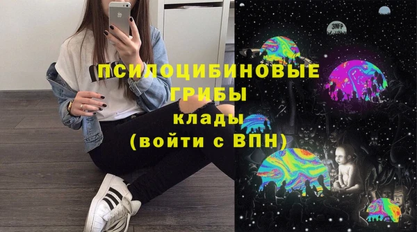 кокс Богородицк