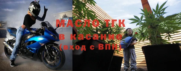 прущий лед Богданович