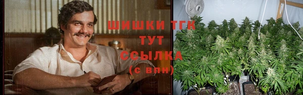 кокс Богородицк