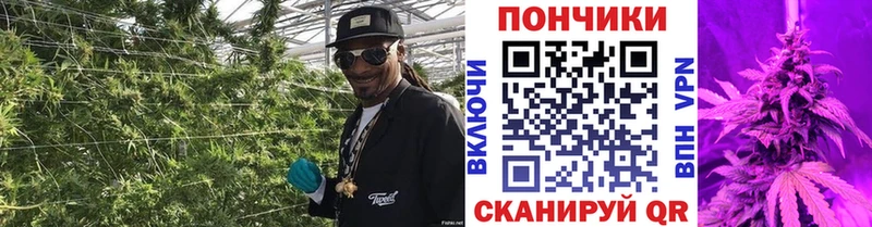 Бошки Шишки Ganja  Гай 